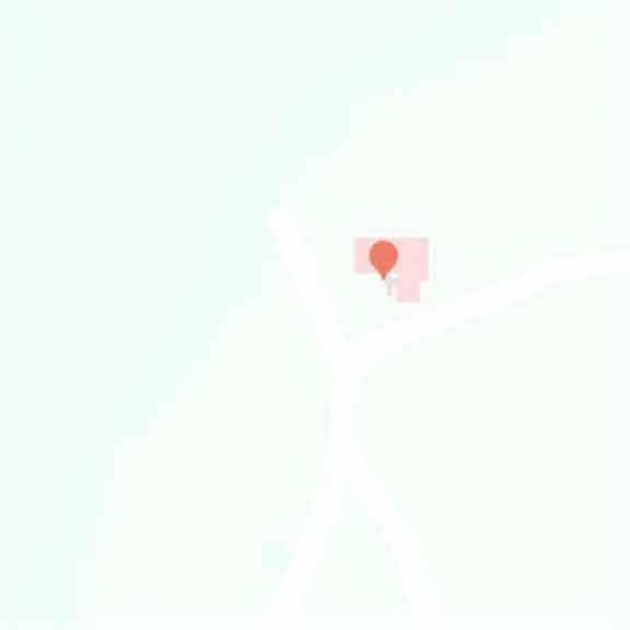 En karta som visar platsen för Skogsrå Blommor på Björkallén 7 i Umeå.